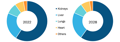 Organ Preservation Solution Market, by Organ Type – 2022 and 2028