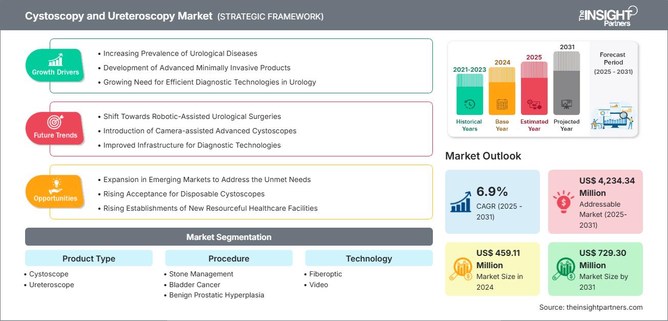 cystoscopy-and-ureteroscopy-market