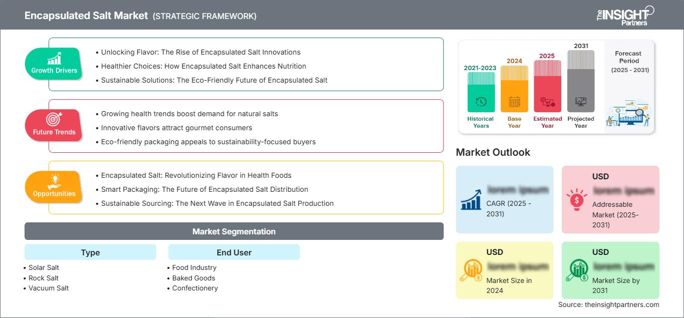 encapsulated-salt-market