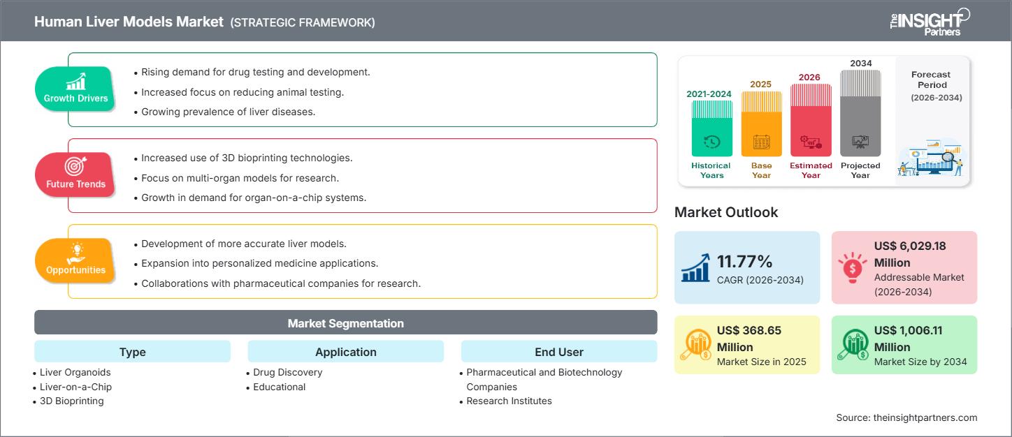 human-liver-models-market