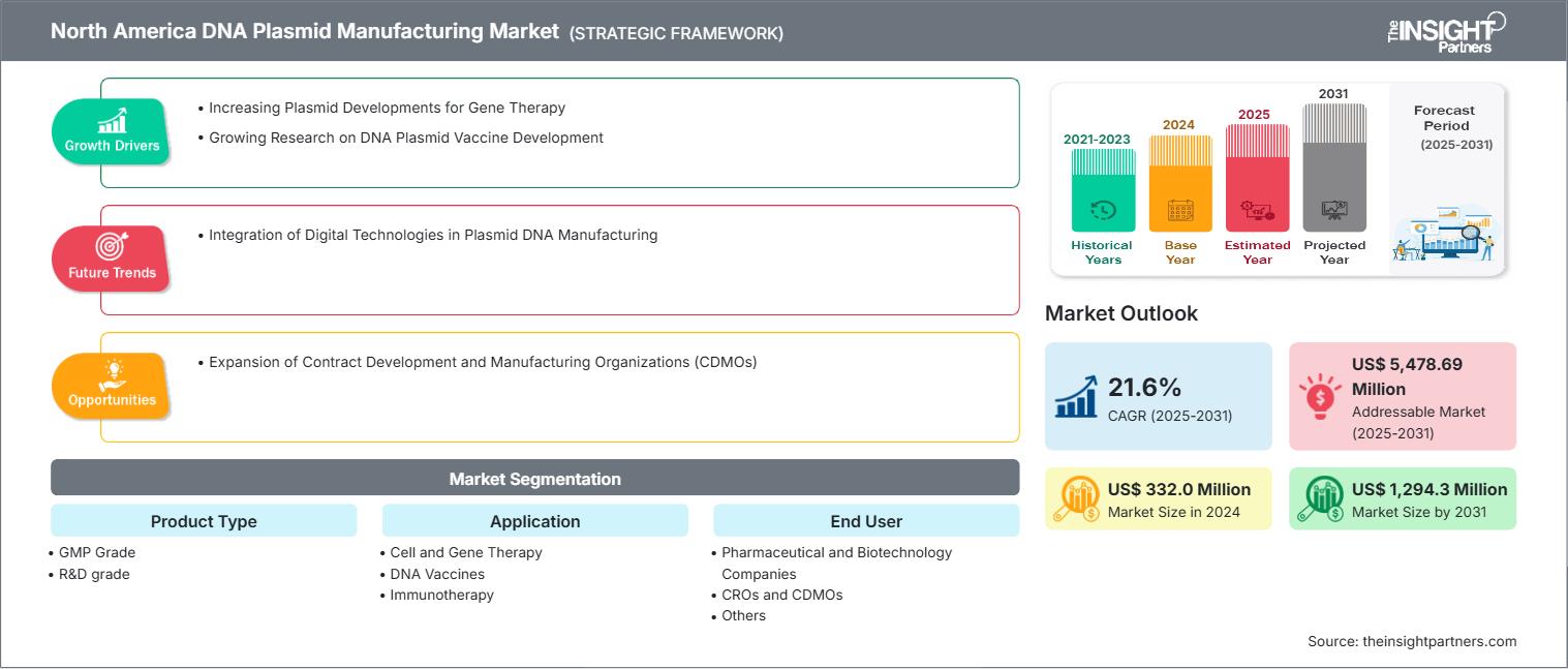 north-america-dna-plasmid-manufacturing-market