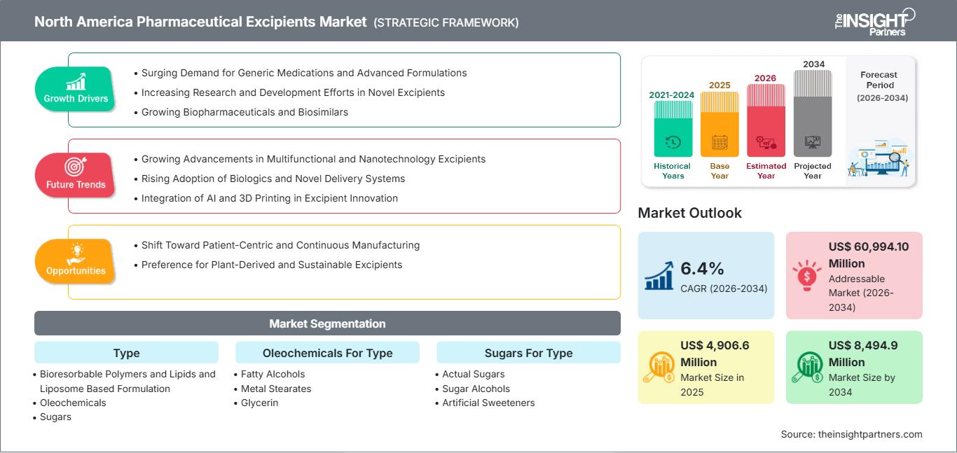 north-america-pharmaceutical-excipients-market