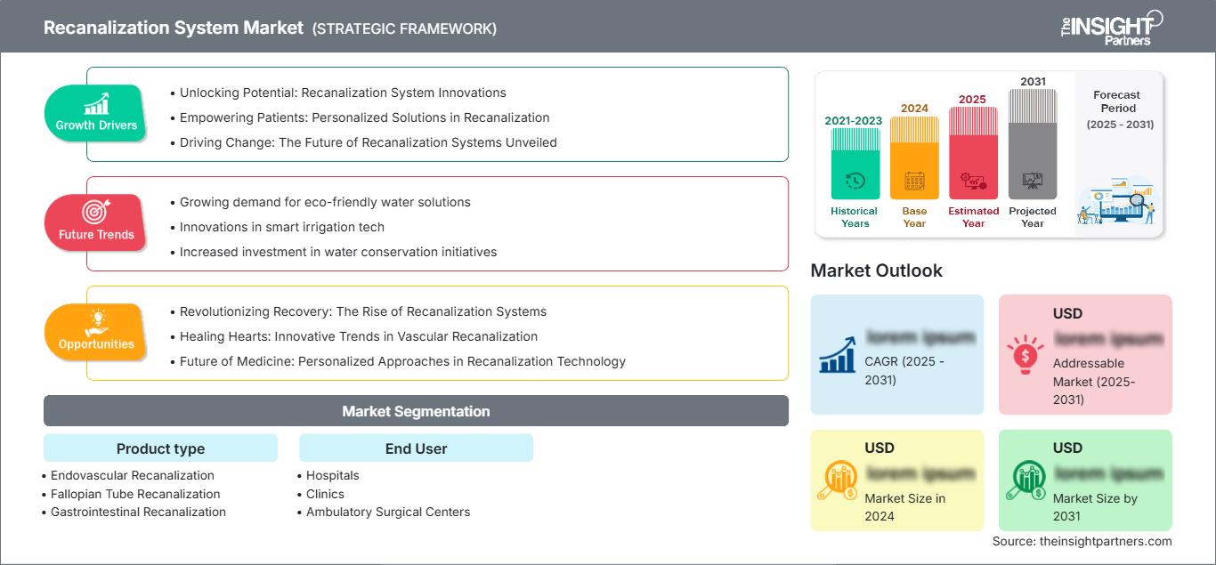 recanalization-system-market