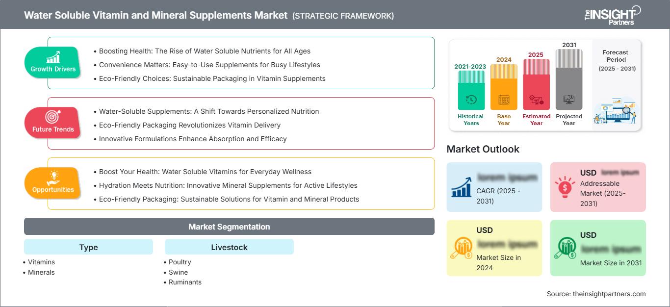 water-soluble-vitamin-and-mineral-supplements-market