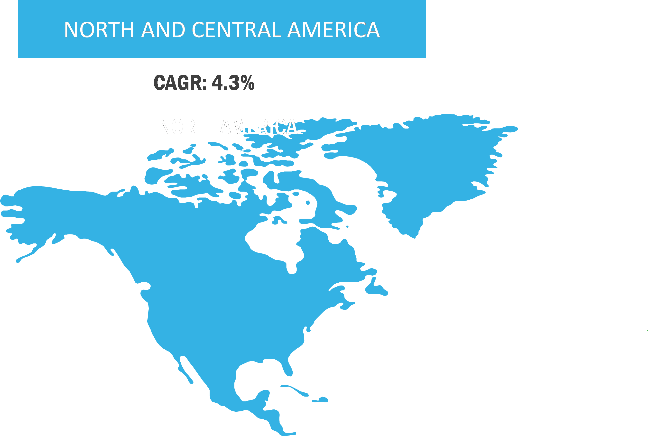 North and Central America Dimethyl Carbonate Market