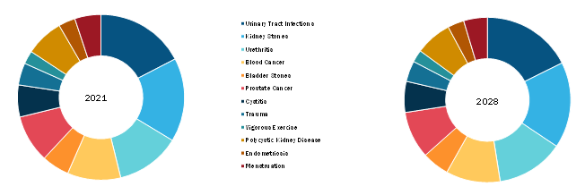 Hematuria Treatment Market, by Treatment – 2020 and 2028