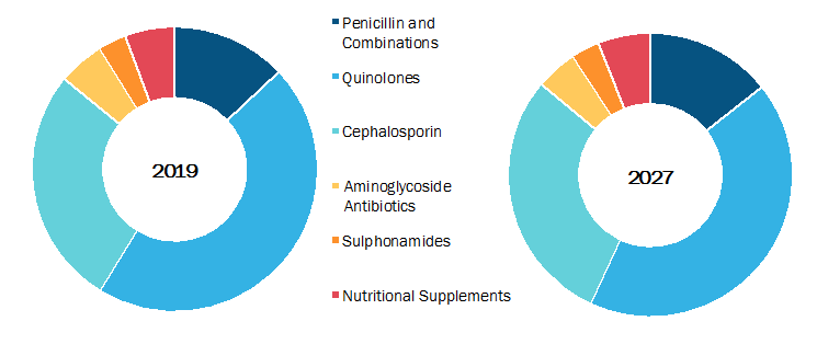 Urinary Tract Infection Treatment Market, by Drug Class – 2019 and 2027