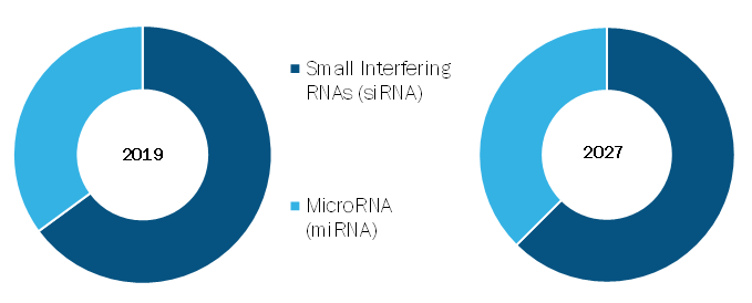 Global RNAi Therapeutics Market, by Molecule Type– 2019& 2027