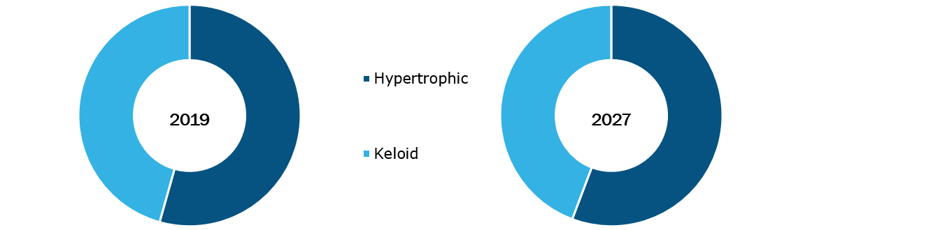 Global Hypertrophic and Keloid Scar Treatment Market, by Scar Type – 2019 & 2027