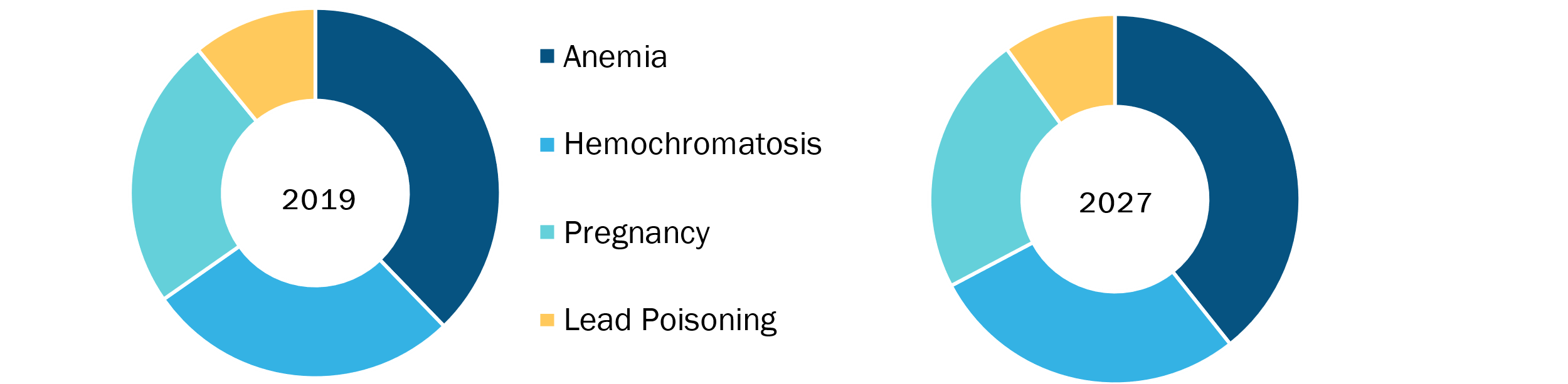 Ferritin Testing Market, by Indication – 2019 and 2027