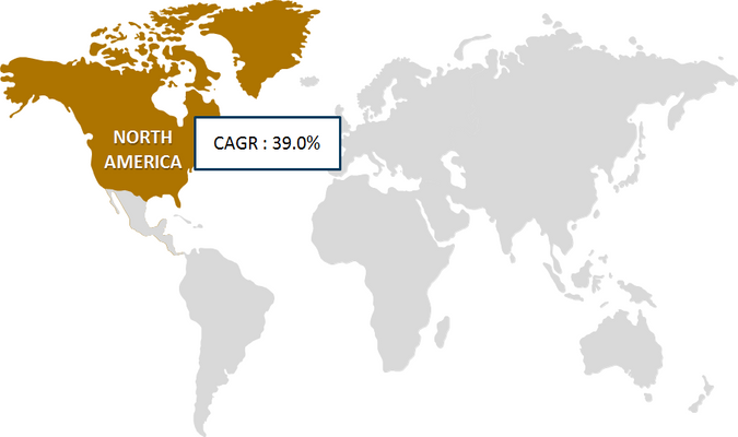 North America Hand Sanitizer Market