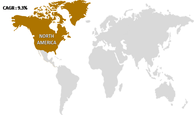 North America Nutritional Lipid Market