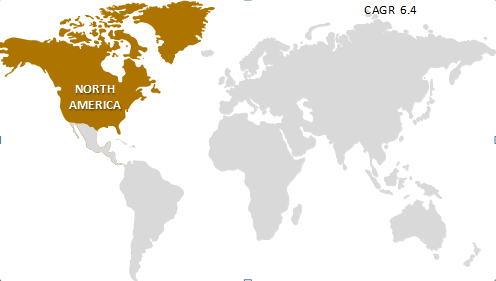 North America Green Tea Market