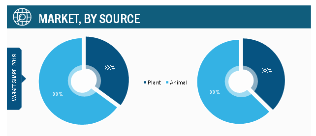 Functional Proteins Market, by Source– 2019 & 2027