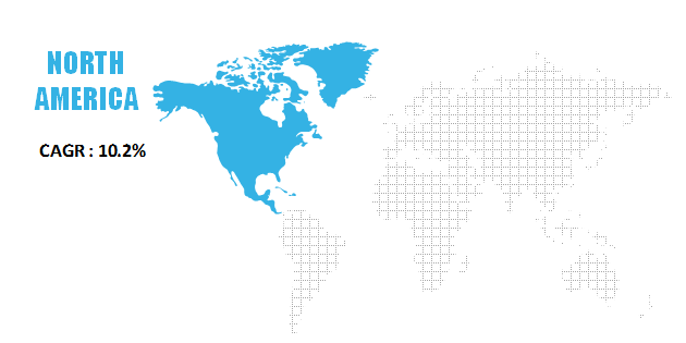 North America Blueberry Extract Market