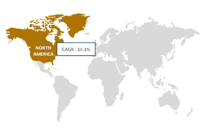 North America Nanocopper Oxide Market