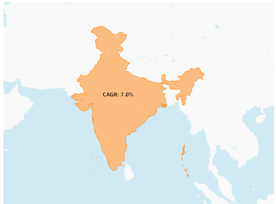 India  Detergents Market