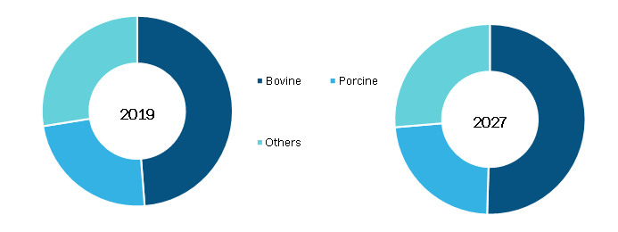 Medical Collagen Market, by Source – 2020 and 2028