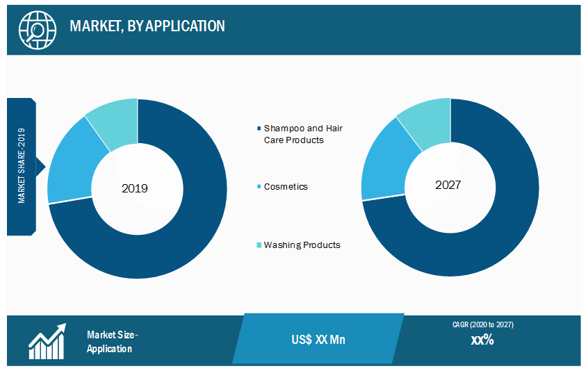 Global Piroctone Olamine Market, by Application– 2019 and 2027