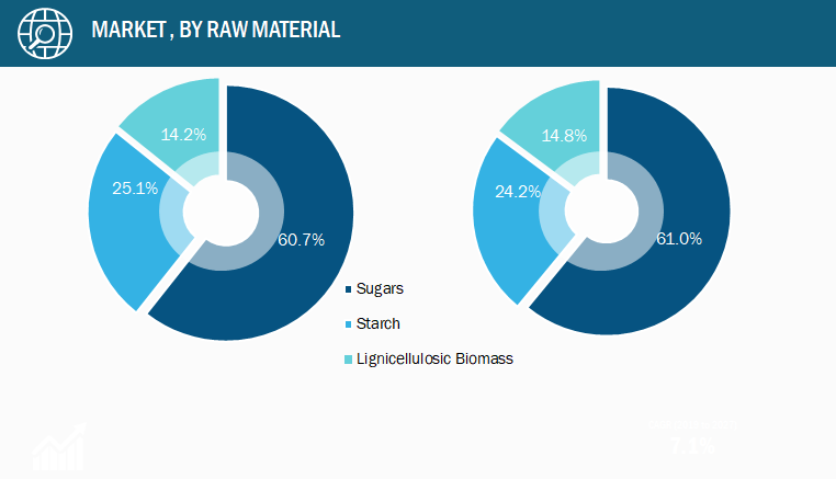 Bio-Based Ethylene Market, by Raw Material – 2019 and 2028