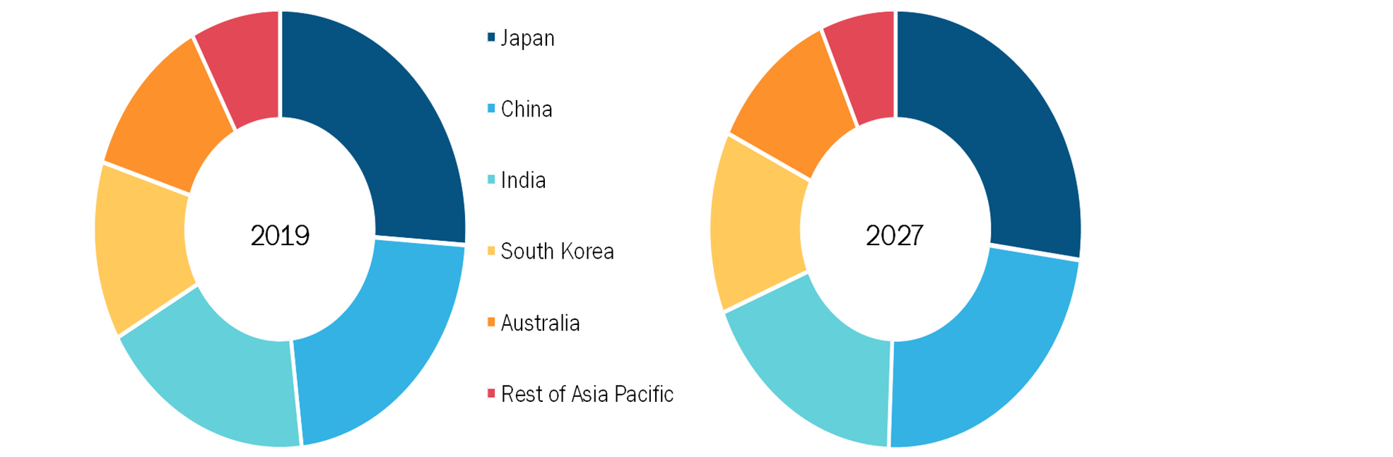 Asia Pacific Kidney Disease Market, By Country, 2019(% share)