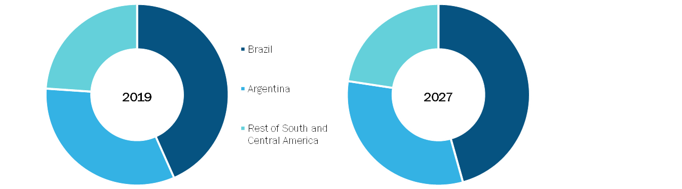 South & Central America Kidney Disease Market, By Country, 2019(% share)