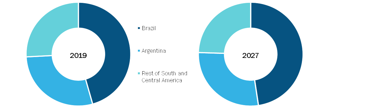 South & Central America Infertility Treatment Devices and Equipment Market, By Country, 2019 (% share)