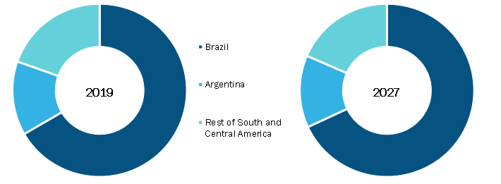 South & Central America Critical Care Equipment Market, By Country,2019(% share)