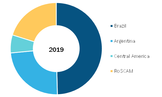 South and Central America Extracellular Matrix Market, By Country, 2019 (%)