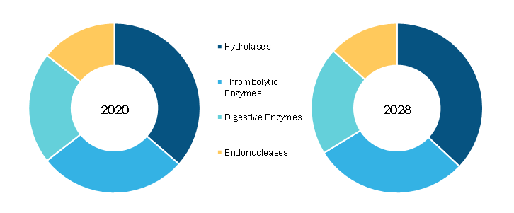 Medical Enzyme Technology Market, by Enzyme Type – 2020 and 2028