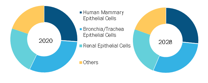 Epithelial Cell Culture Media Market, by Product Type – 2020 and 2028