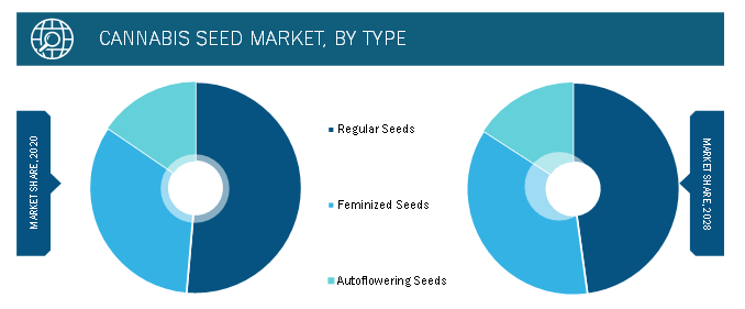 Global Cannabis Seeds Market, by Type – 2020 and 2028