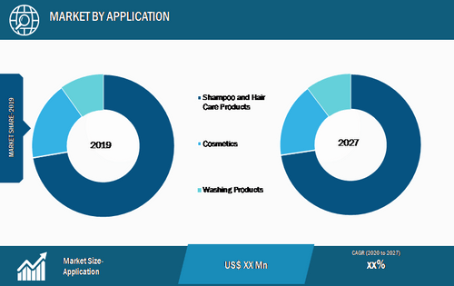 Global Passenger Information System Market, by Application – 2019 and 2027