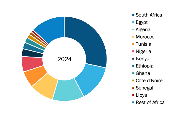 Africa Anticancer Drugs Market, by Country, 2024 (%)