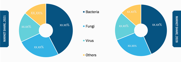 Agriculture Microbial Market, by Type – 2021 and 2028