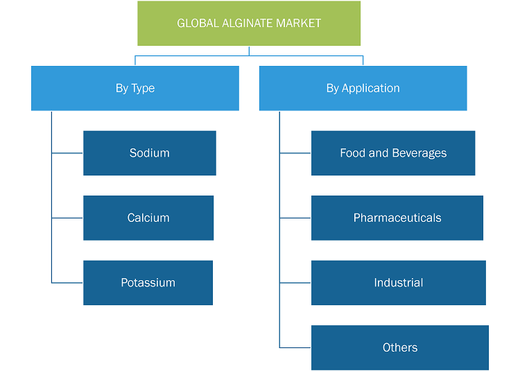 Report Segmentation and Scope: