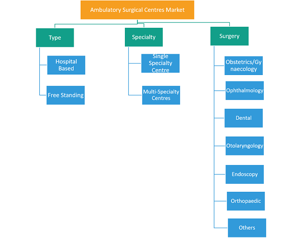 Report Segmentation and Scope: