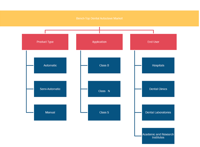 Report Segmentation and Scope: