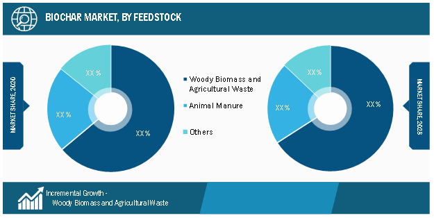 Biochar Market, by Feedstock – 2020 and 2028