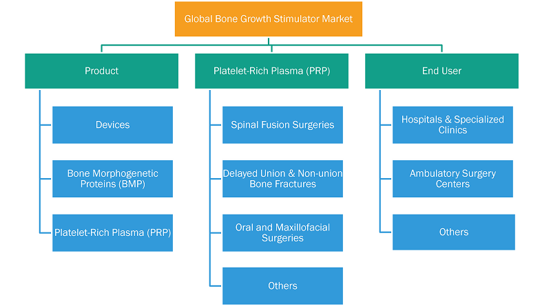 Report Segmentation and Scope: