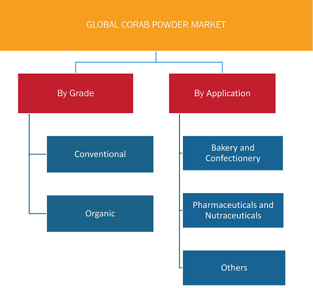 Report Segmentation and Scope: