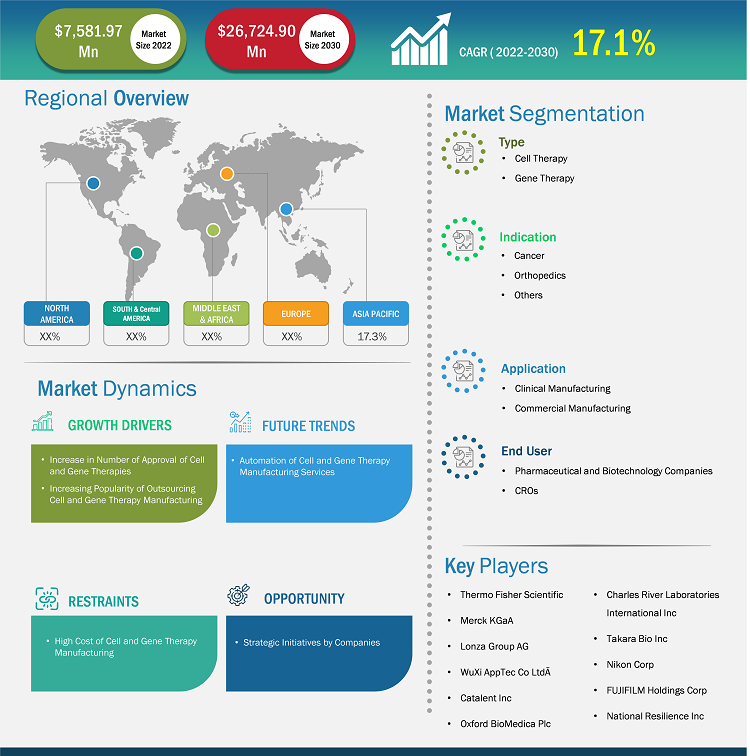 cell-and-gene-therapy-manufacturing-services-market