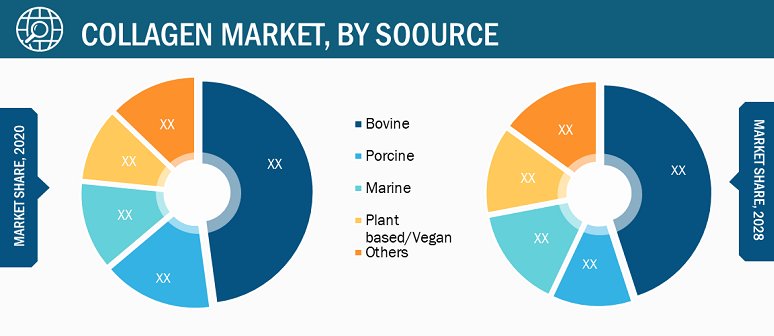 Collagen Market Breakdown – by Region