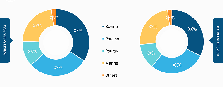 Collagen Peptides Market, by Source – 2023 and 2030