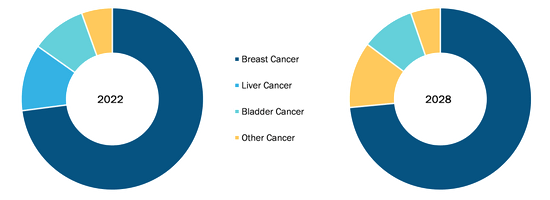 Epirubicin Market, by Application – 2021 and 2028