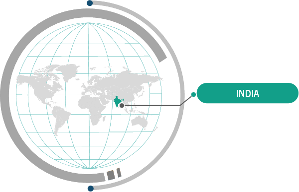 India Industrial Filters Market Share — by Country, 2024
