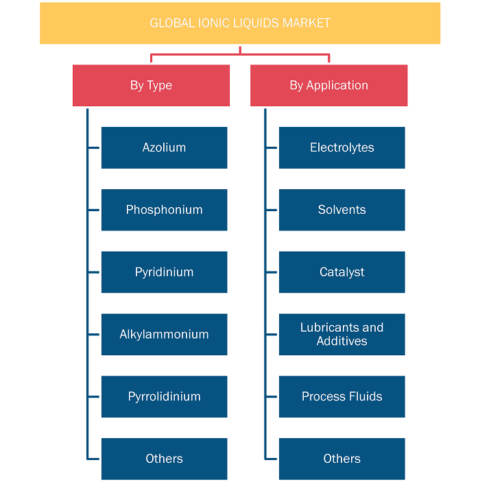 Report Segmentation and Scope: