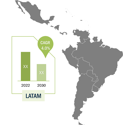 LATAM Detergents Market Breakdown – by Region