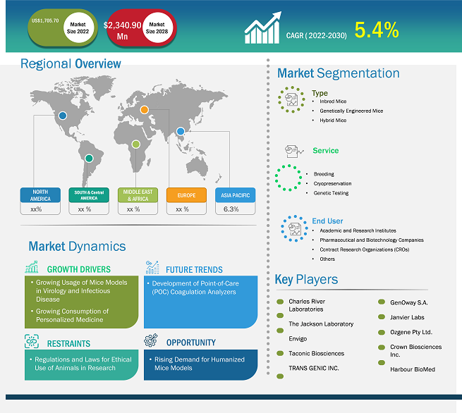 mice-model-market