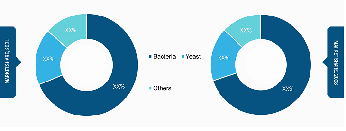 Microbial Protein for Feed Market, by Source – 2022 and 2028